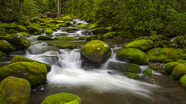 About Hayesville NC - Lake Chatuge Property